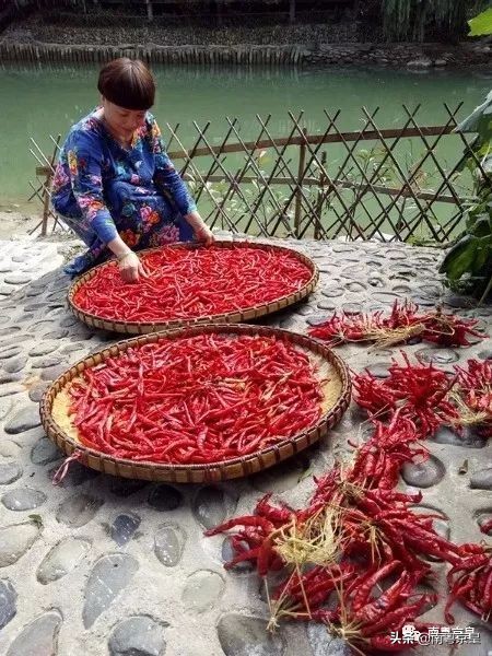 羊城飘逸着最傲娇的色彩——中国红，要的就是这个味儿