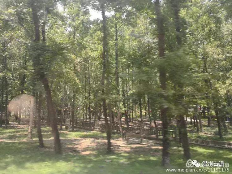 乐清屿头村旅游景点,温州乐清小岛旅游攻略图