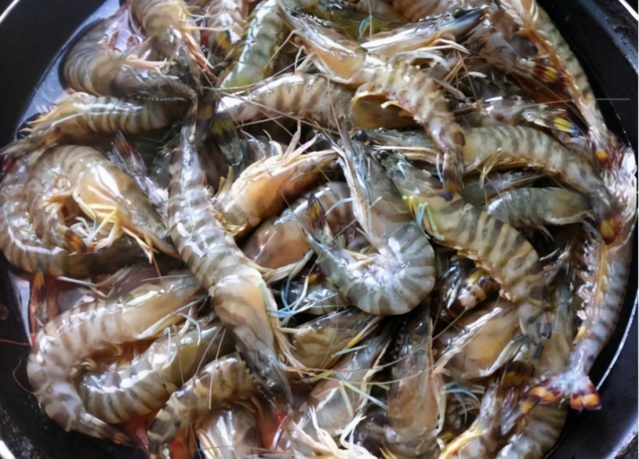 做基围虾不同方法的视频,基围虾怎么处理爽滑鲜嫩