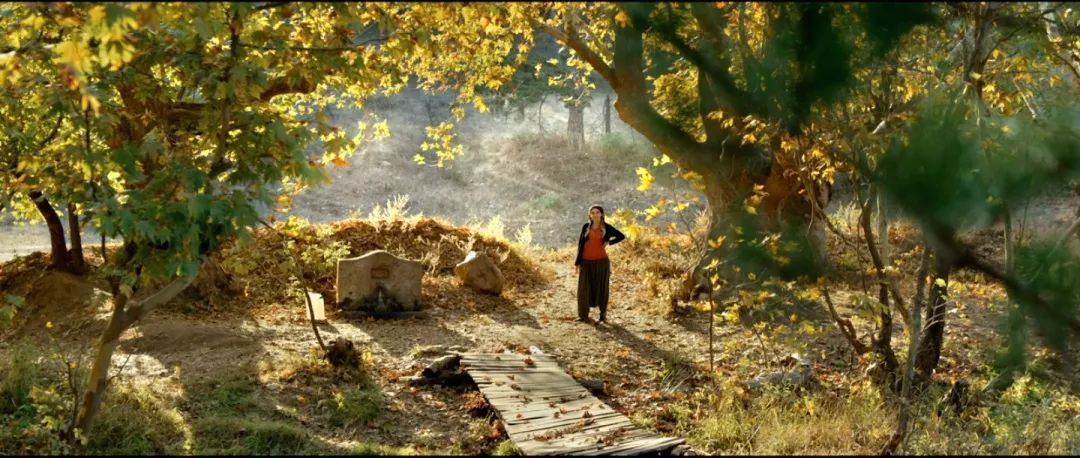 导演拒绝删减任何镜头!片长3小时,生生扯下了理想主义的遮羞布