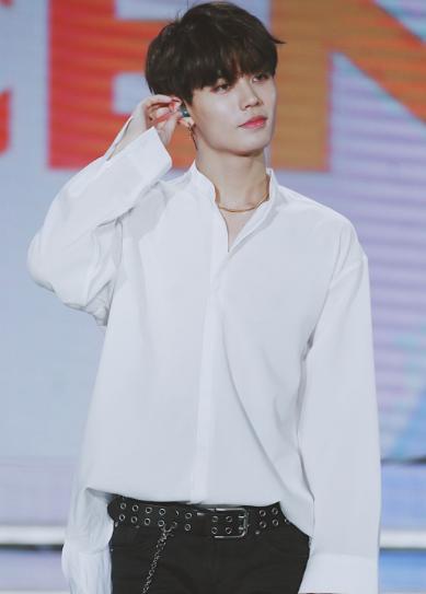 林彦俊吃蜘蛛,林彦俊野生厨房吃蜘蛛