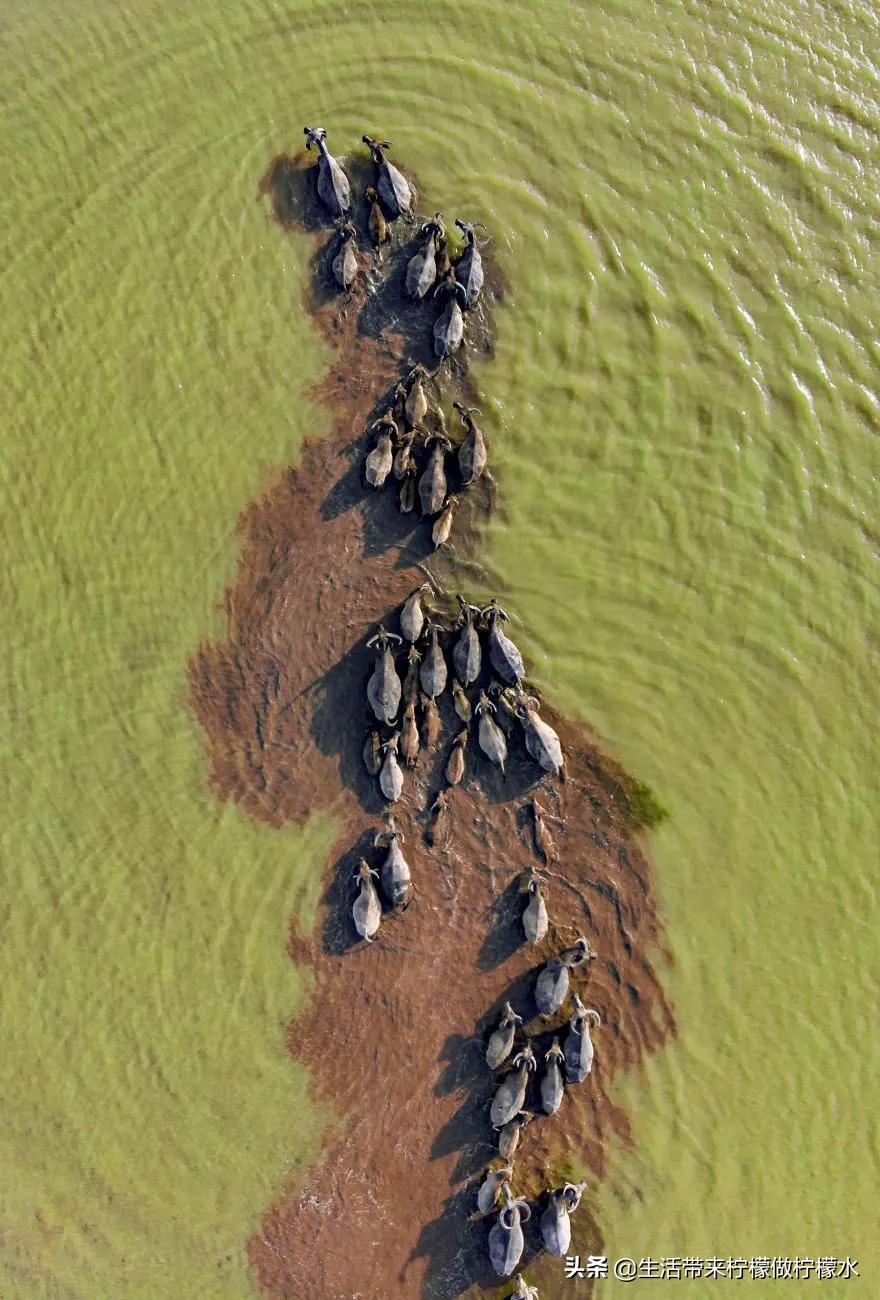 最震撼的34张照片美遍朋友圈,500张最美照片