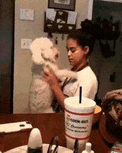 “如果这群女混混*攻围**我,我会舌战群儒!”你会怎样脱困?