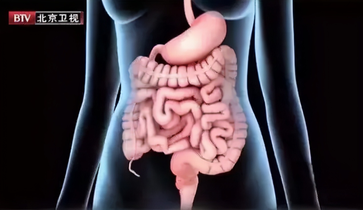 膳食纤维十大排名有什么,儿童膳食纤维食物排行榜