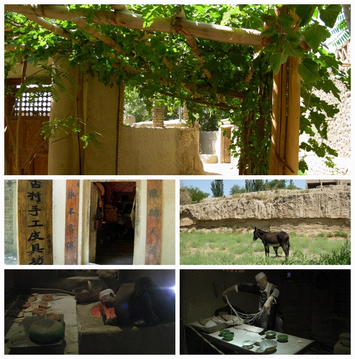 2013年E-1*疆新**东南西北中班车自助游-东