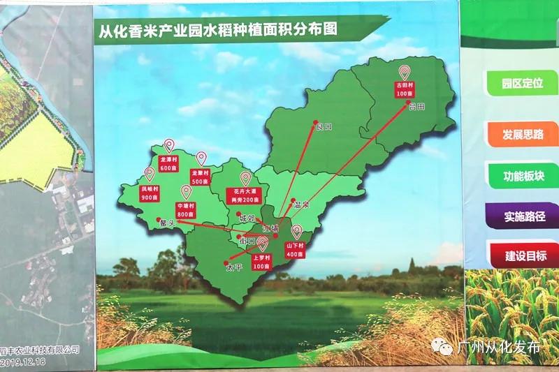 我是真的热啊,从化的天气有多冷