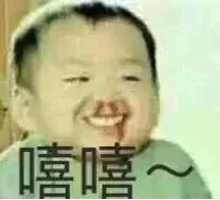 中国动物死亡事件,全国每年有多少动物死亡