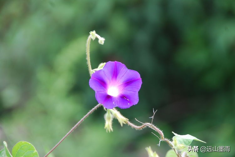 昆明嘉丽泽旅游景区,昆明嘉丽泽湿地露营