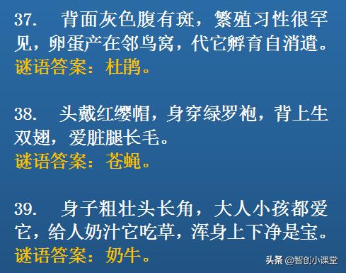 一次有趣的猜字谜游戏,20个猜字谜游戏
