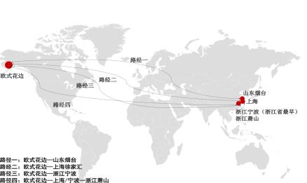 萧山花边手工图片大全,青州非遗纯手工花边