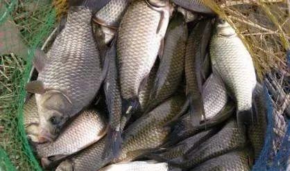 鸭毛串钩制作方法,自制鸭毛串钩