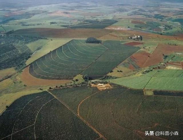 巴西是南美洲唯一的发达国家吗,巴西是南美洲的国家吗