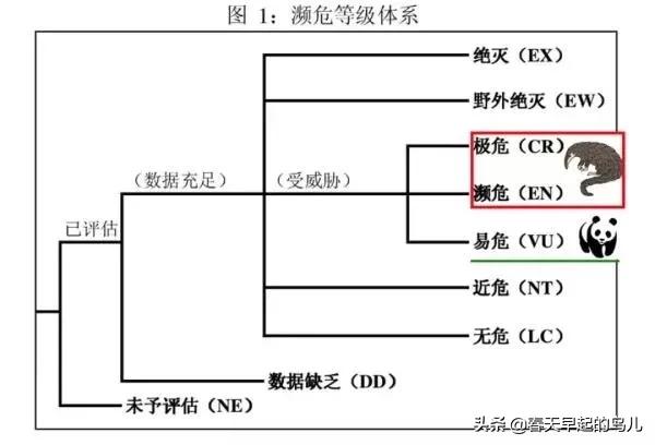 穿山甲报应,报应啊