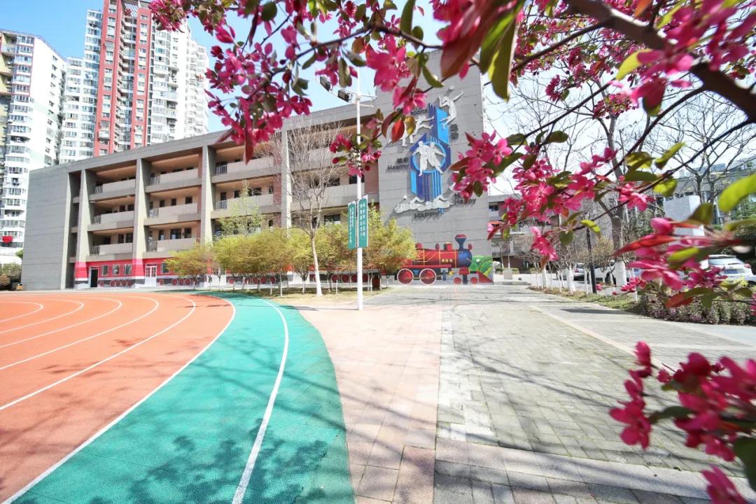 南京这所小学“弯道超车”，做了什么？