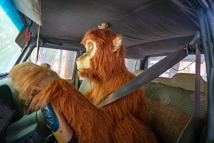 一生必看的三亚千古情,一生必看的三亚演唱