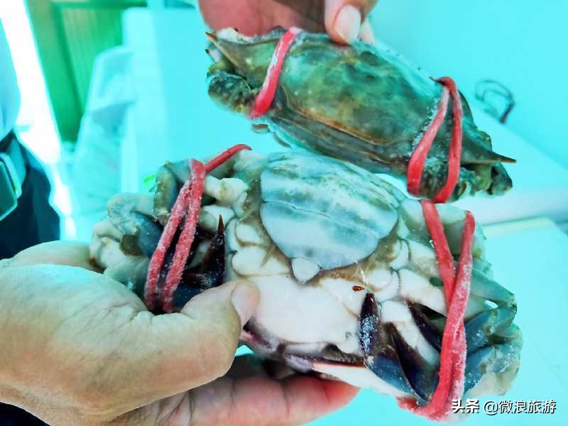“死螃蟹”上餐桌，被一抢而光，渔家乐老板道出了一个秘诀