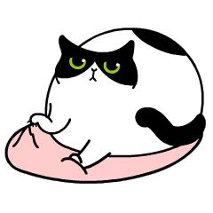 装修公司装修样板房猫腻,装修设计公司猫腻