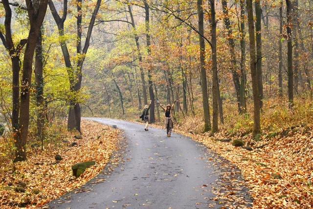 上台讲故事的淘淘大哭到大队委竞选的侃侃而言，引导帮助孩子改变