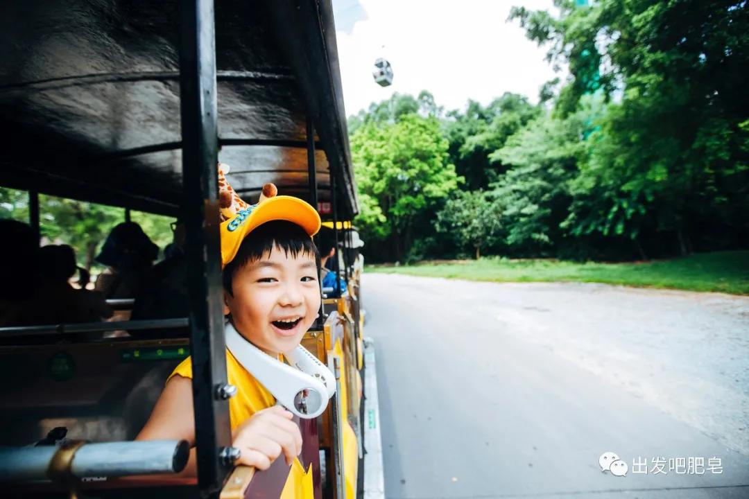 长隆飞鸟乐园长隆熊猫酒店怎么选,周一长隆野生动物园游玩攻略