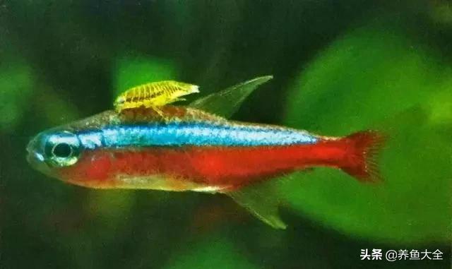 疾病科普小讲堂,疾病知识小讲堂