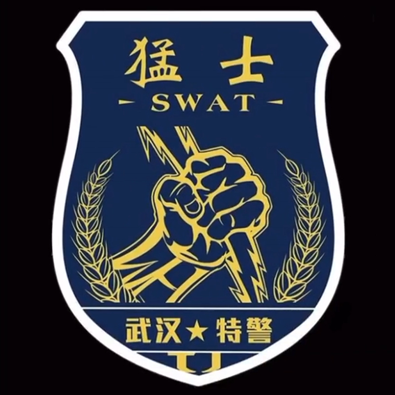 全国各个城市特警队臂章,公安特警帅图