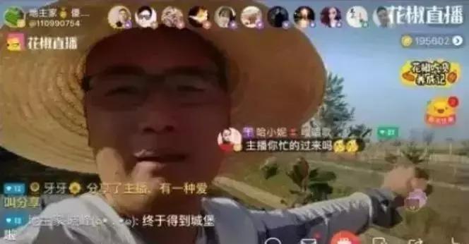 在农村靠种菜发家致富有多难,农村种菜一年赚8万