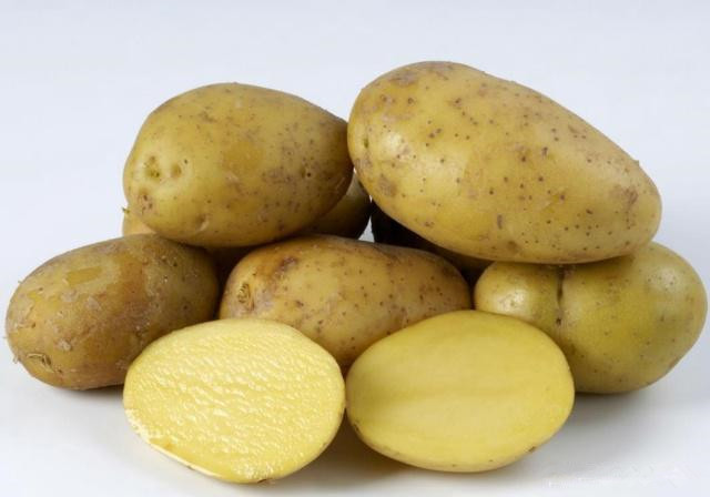 春播马铃薯栽培技术,马铃薯的种植技术教学视频