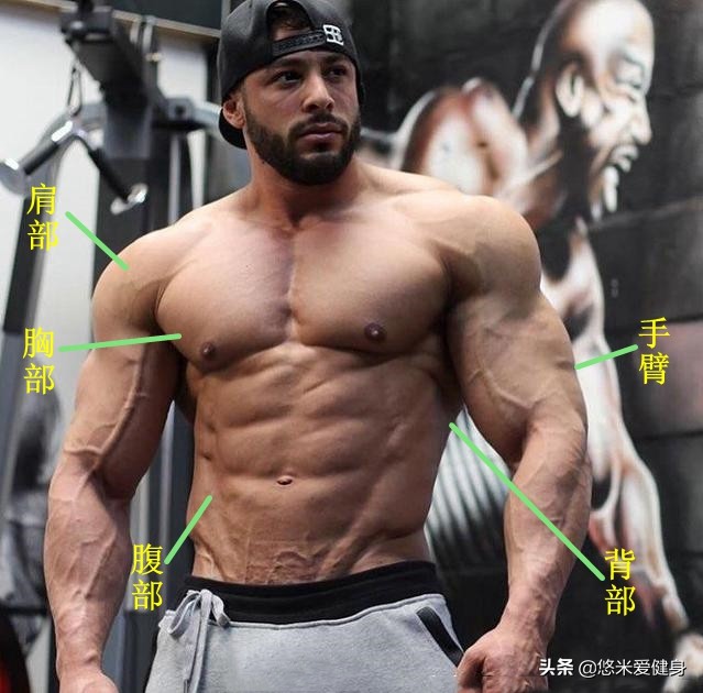 一副哑铃练遍全身肌肉新手,哑铃锻炼全身肌肉视频