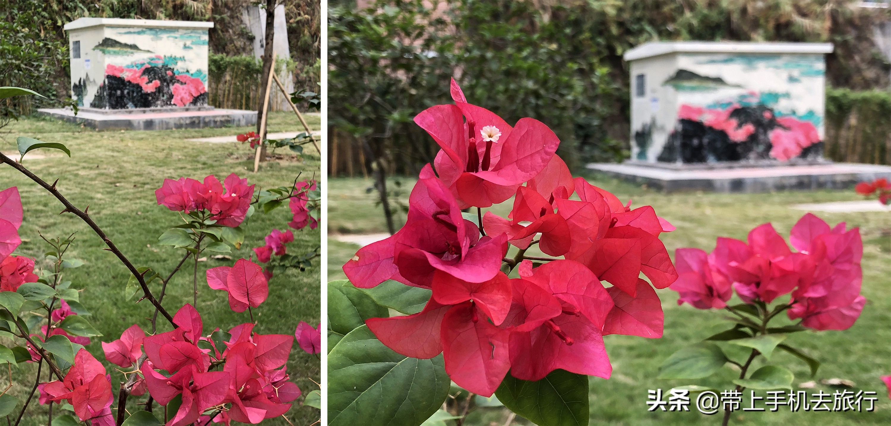 手机怎么拍出好看的画质,手机如何拍摄手机画面好看