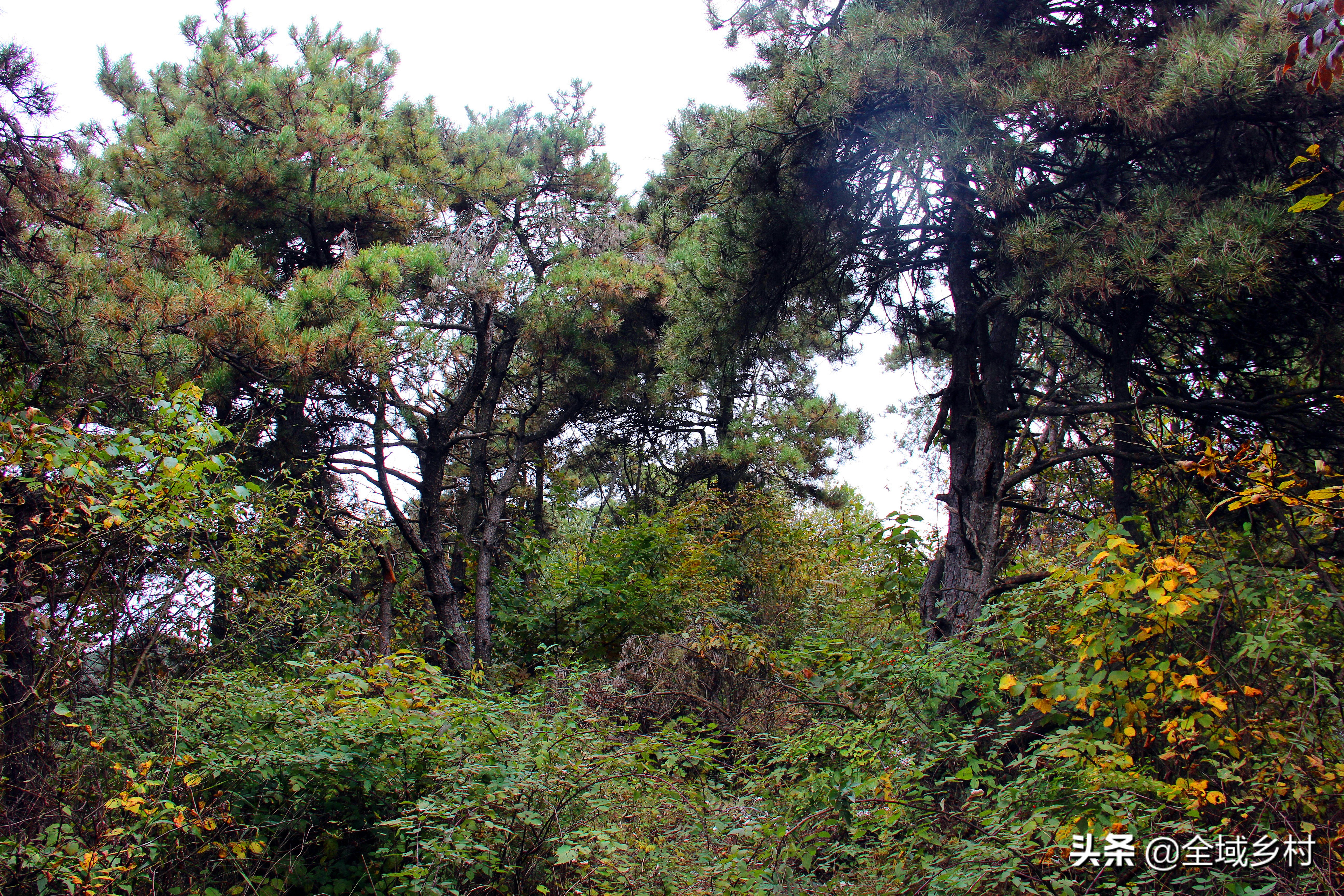 密云深山自驾游最佳路线,深山的一条天路