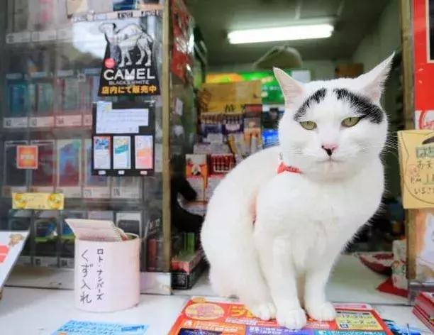 香港这家便利店的店长，靠着腮帮子走红了