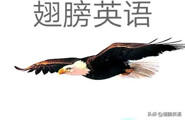 中考数学易错题一元二次方程,中考数学必刷易错题100题