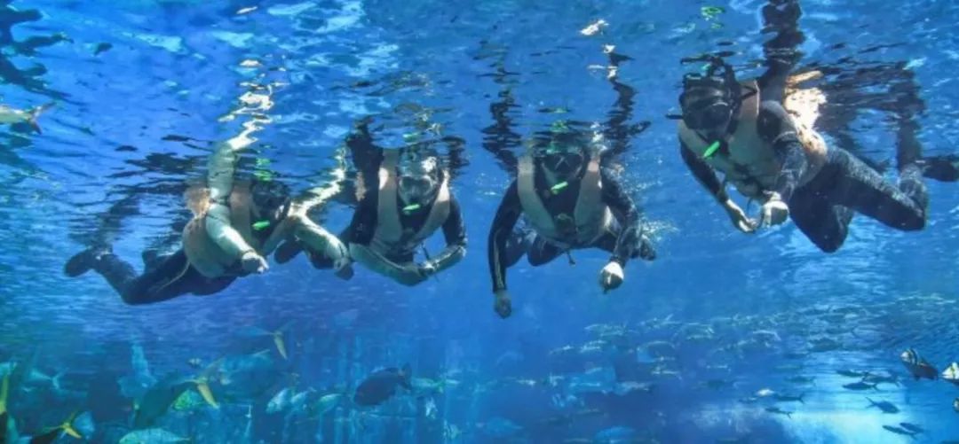 迪拜自由行攻略及小tips,去迪拜旅游前的准备攻略