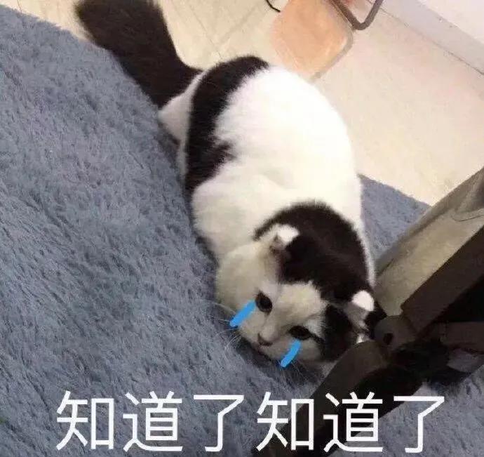 女明星都在敷面膜,出门敷面膜