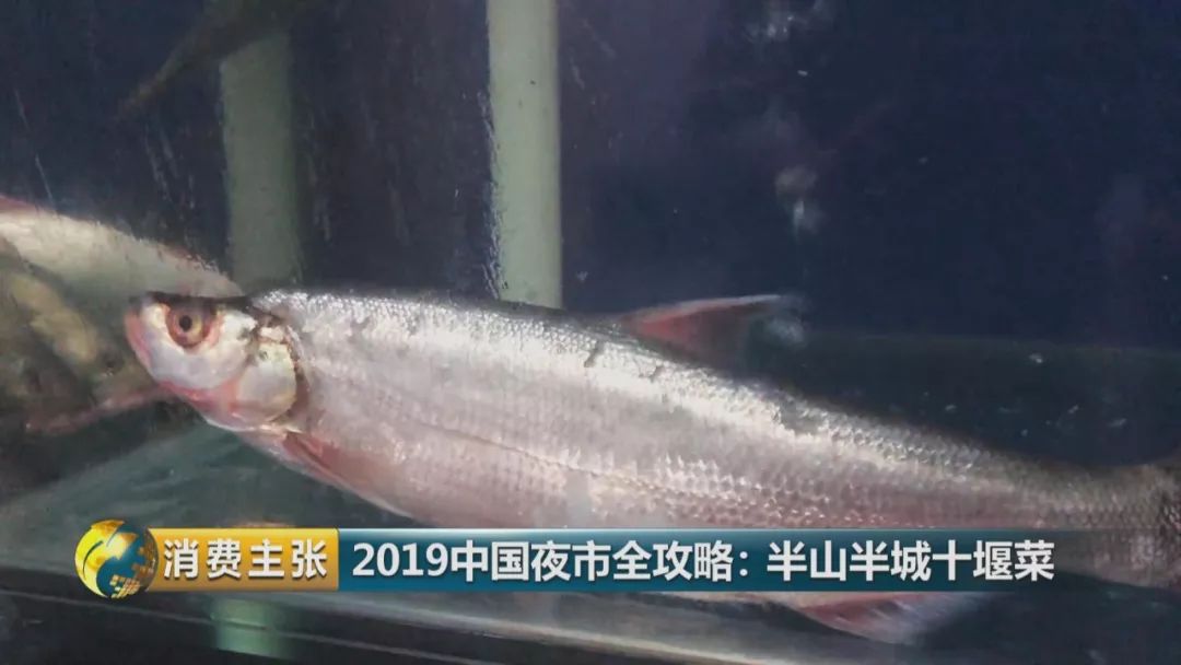 十堰这个城市怎样,十堰第四座不夜城