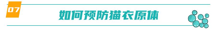 怀孕的母猫得猫瘟没流产,怀孕一个月的猫感染猫瘟会流产吗