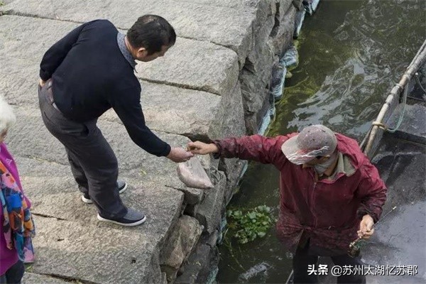 五一上海农家乐两天一晚游推荐,上海后花园总价300万