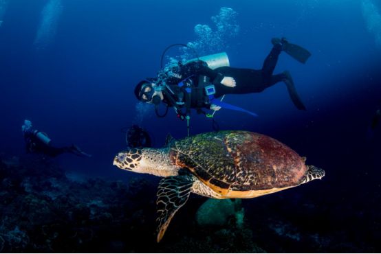 走过很多地方的诗句,走过很多地方原唱