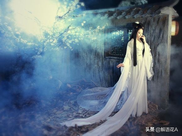 李时珍给皇妃看病,李时珍进宫看病