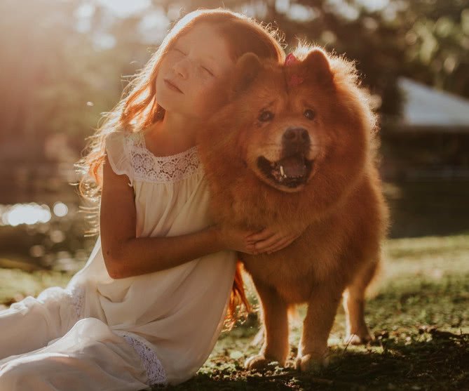 如何教导狗狗在室内排便,如何引导狗狗不在家里尿尿