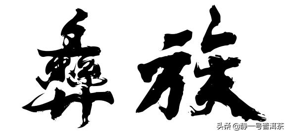 茶出银生无量山,茶出银生