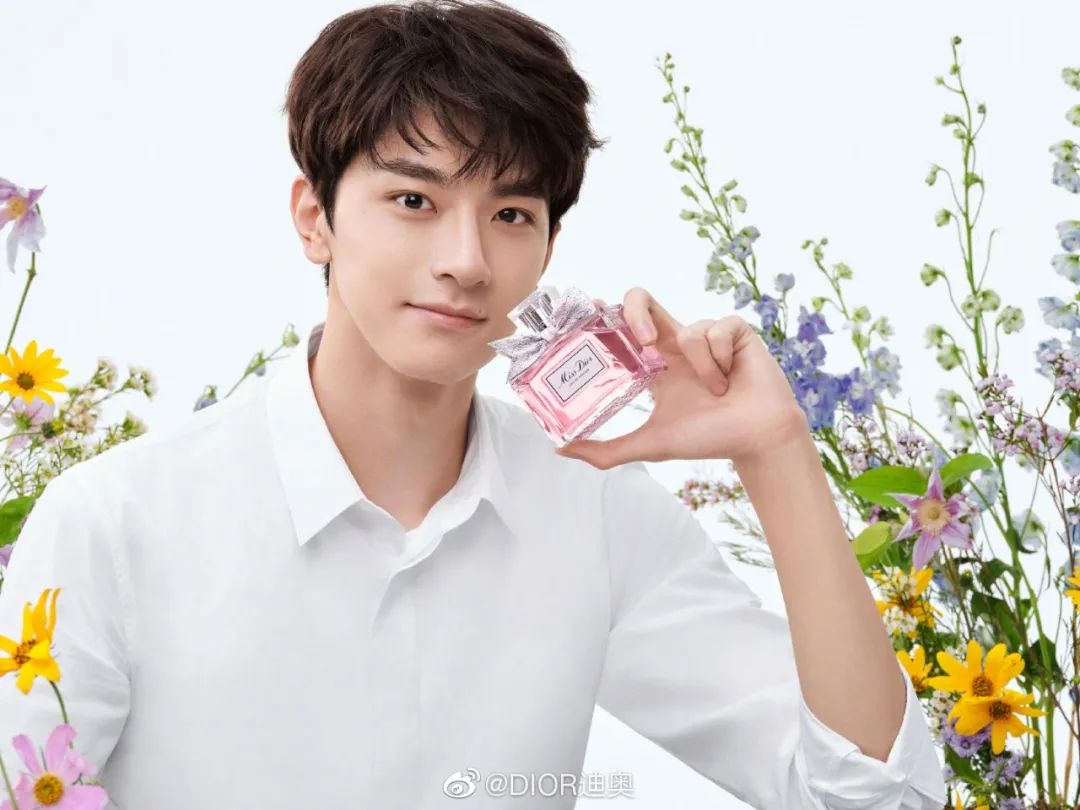 双十一明星代言销量排行,双十一明星代言数据