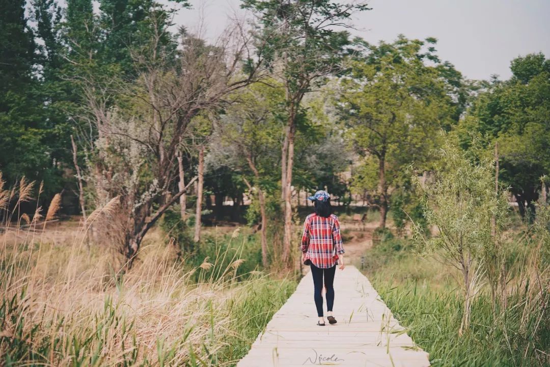 可盐可甜是哪首歌的歌词,可盐可甜出自哪