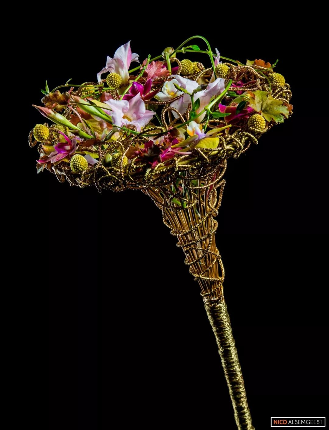 了不起的发明主题目标,了不起的发明主题环创