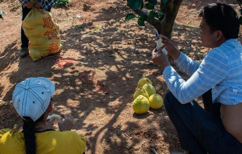 大阳150踏板摩旅进藏,大阳adv150长途摩旅西藏