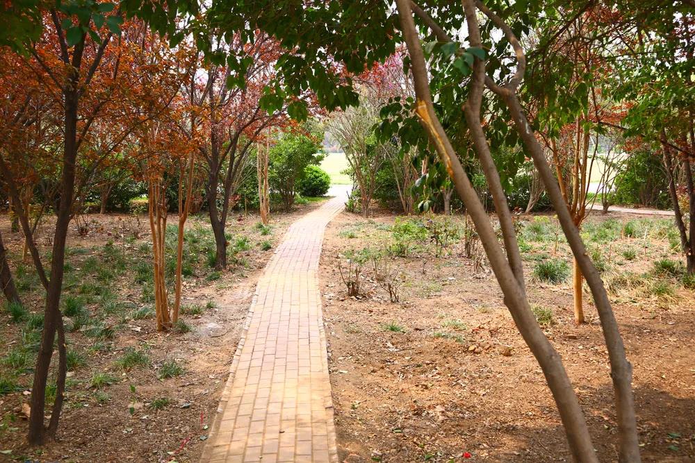 新学期有哪些新变化,许昌职业技术学院新学期工作