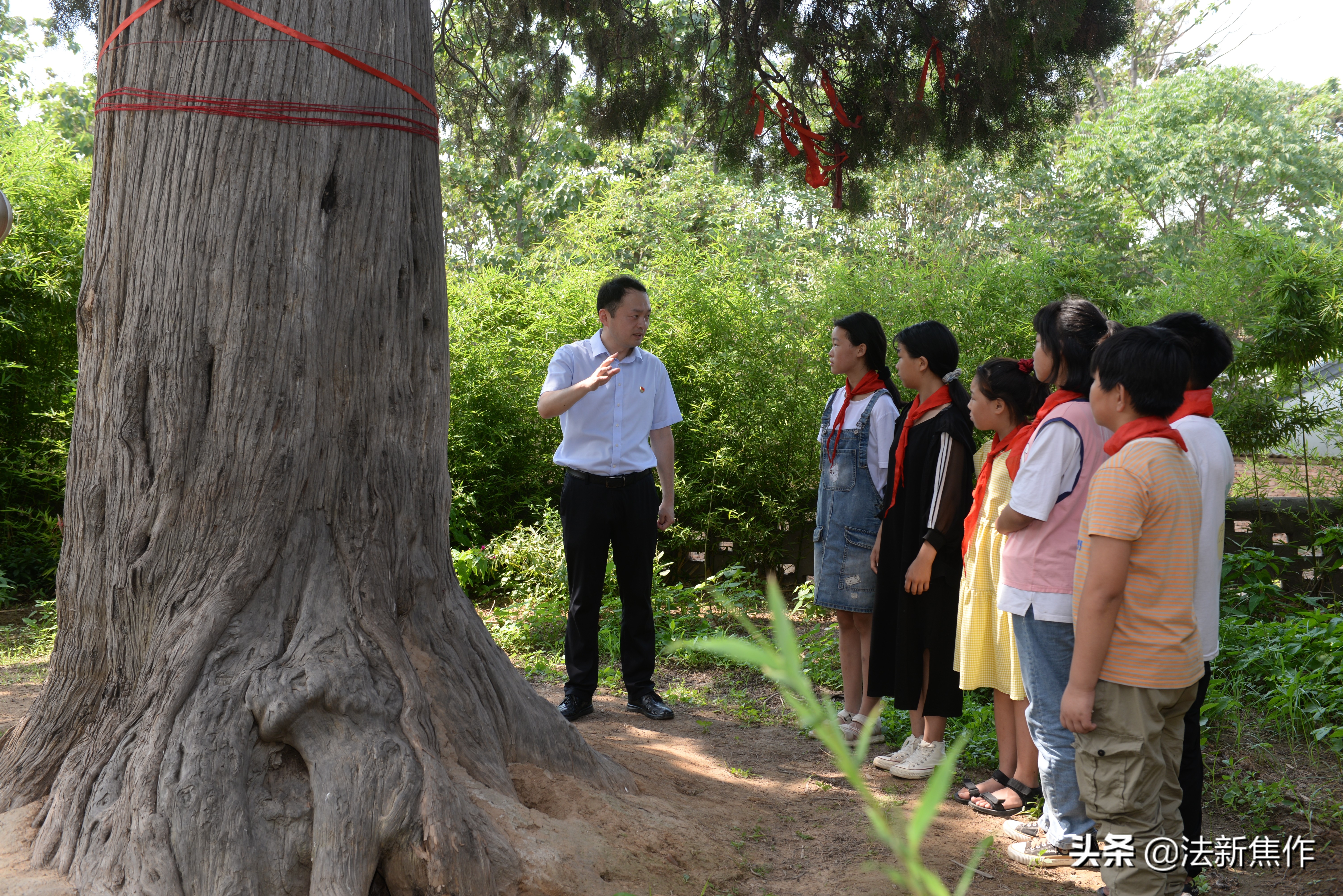 建党百年感人诗歌,献礼建党百年诗