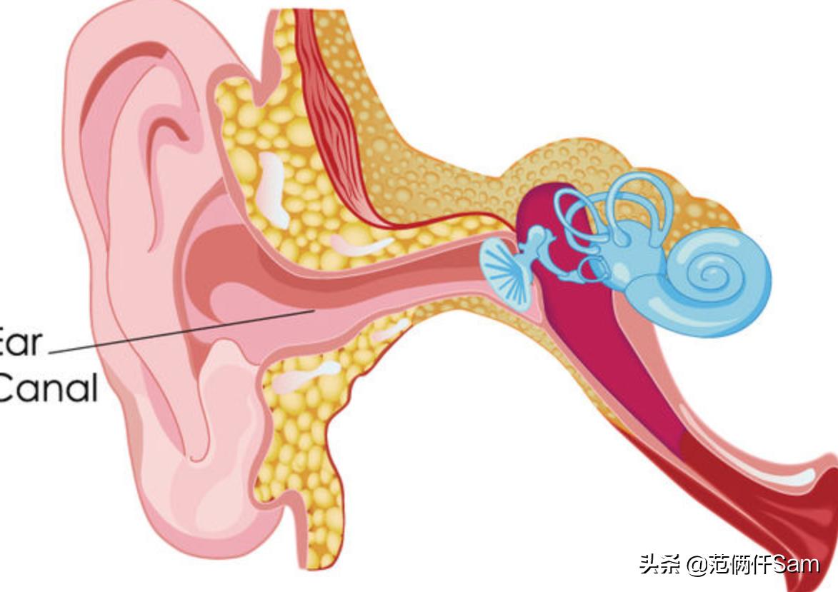 酷狗m52蓝牙耳机怎么恢复出厂设置,tws2和m52哪个耳机好