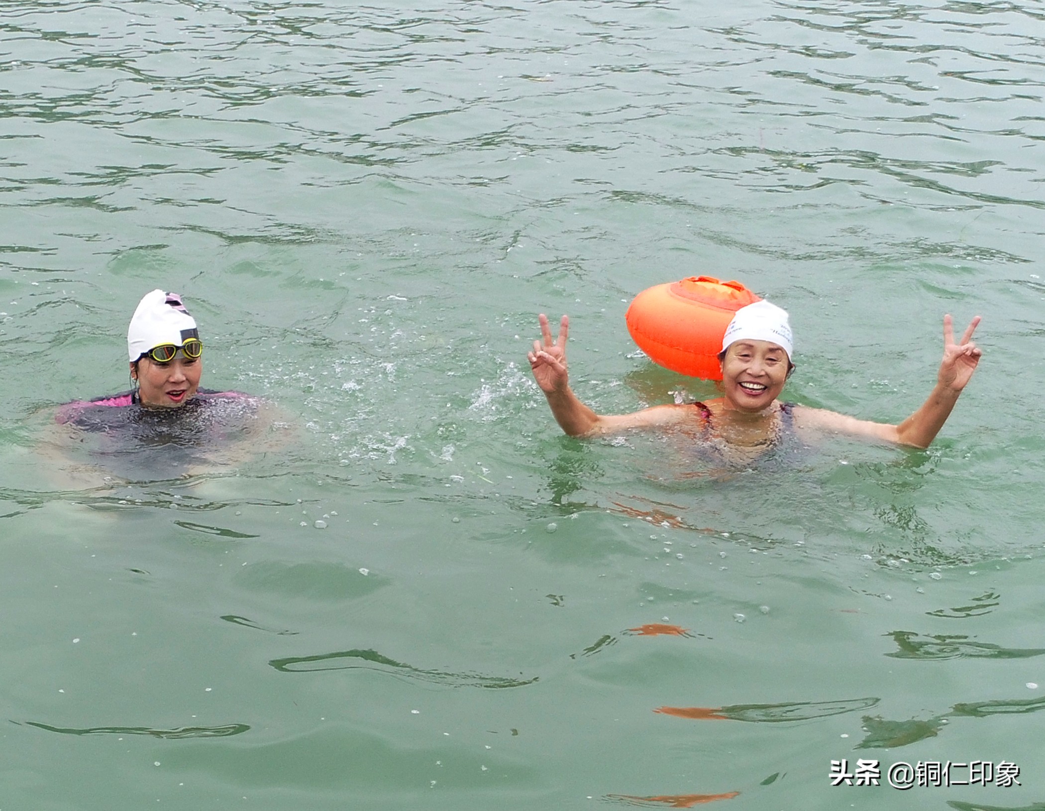 铜仁市游泳协会,2023年铜仁市运动会游泳比赛