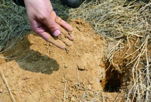 康王墓如何发现的,打开康王坟